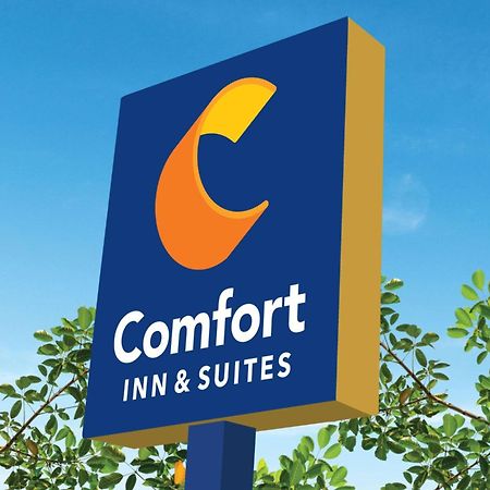 Comfort Inn & Suites Саванна Екстер'єр фото